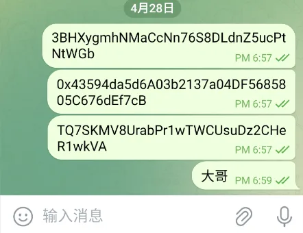 2025款高仿新版假飞机假TG源码/以及搭建教程