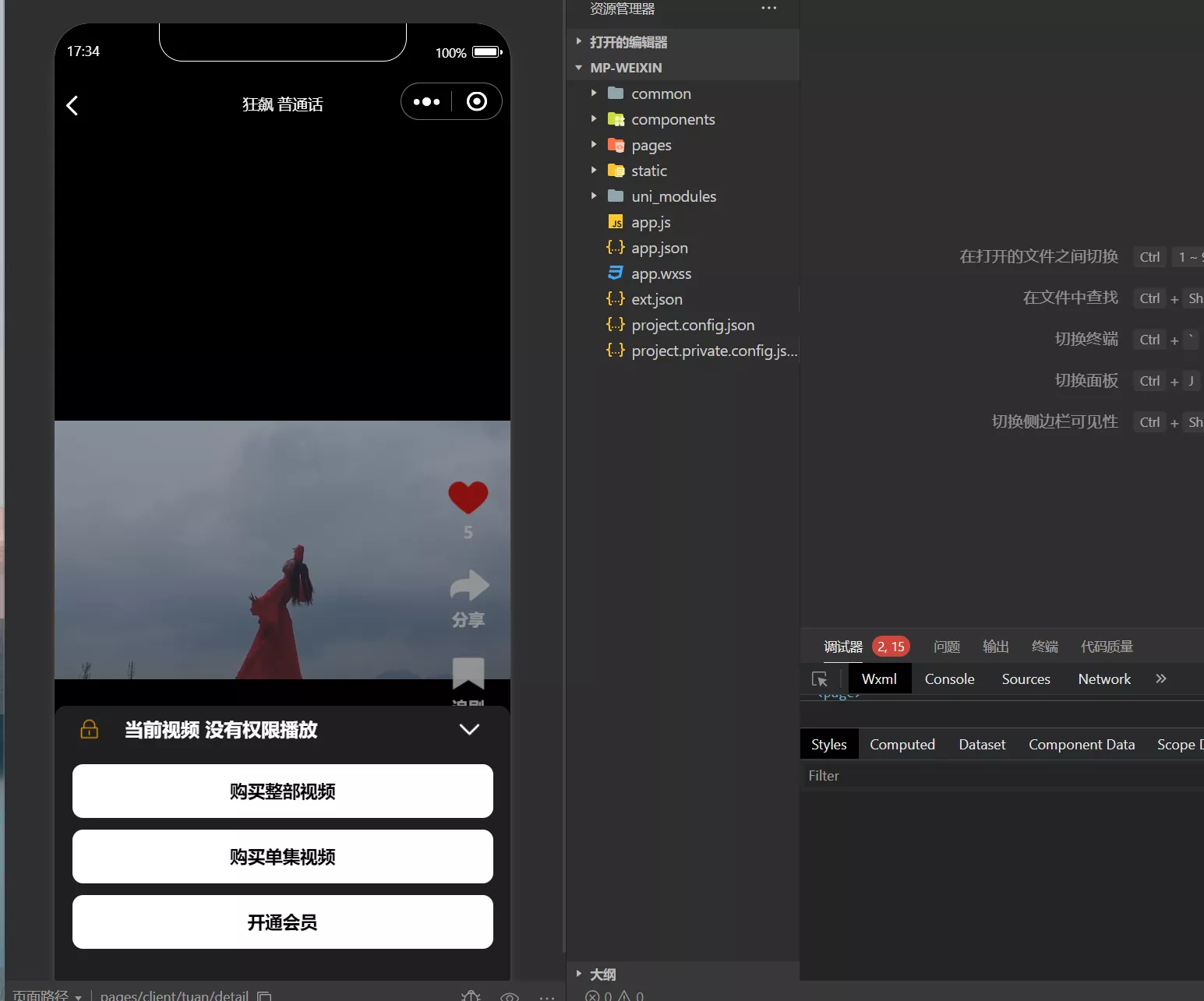 【仿抖音滑动小短剧】影视带支付收益等模式的微信小程序源码插图6